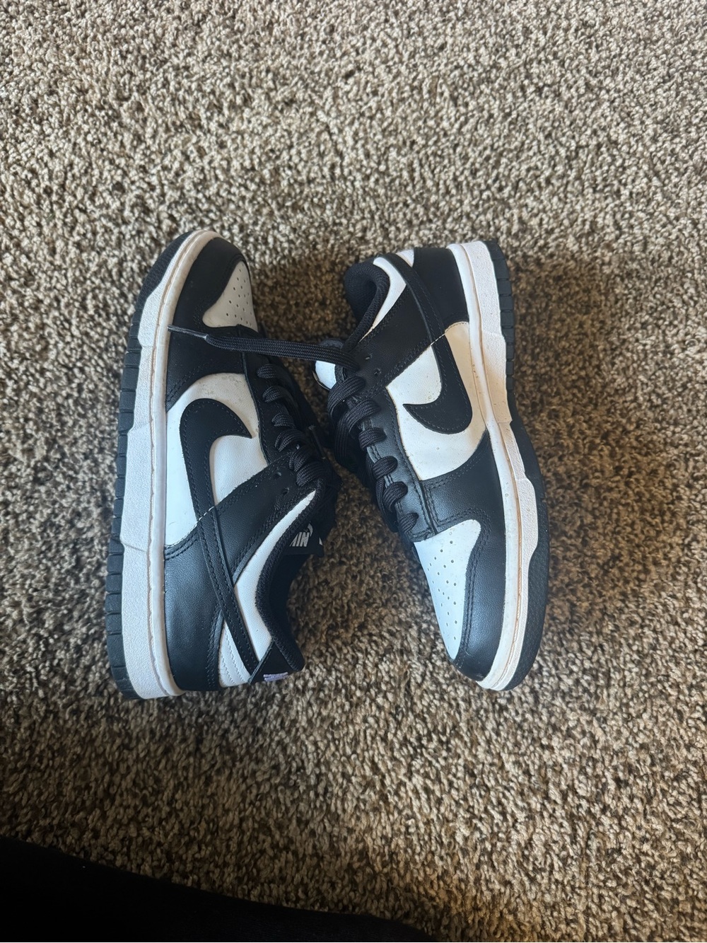 Panda Dunks - Picture 2 of 3